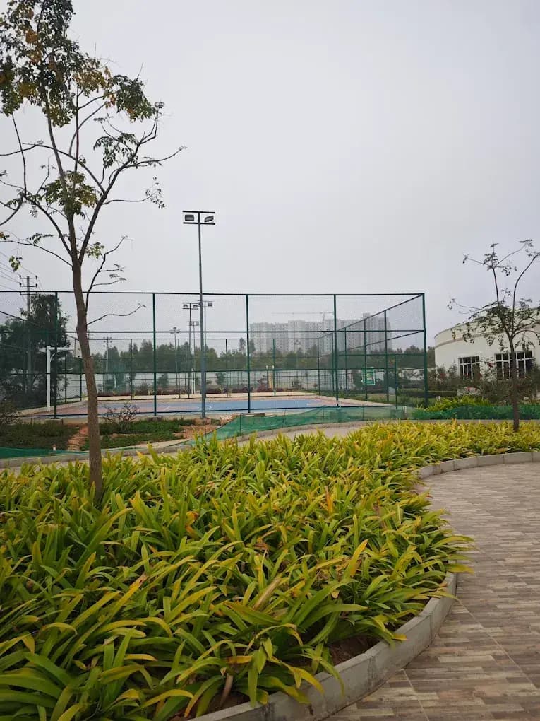 CmYt7ZfD_765w.webp