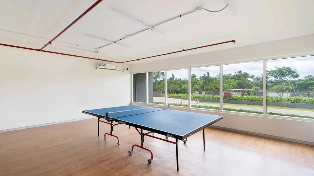 TABLE TENNIS COURT 03.jpg