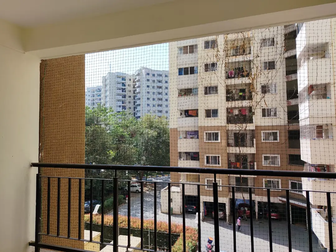 WhatsApp Image 2026-02-08 at 15.01.06 (1).jpeg