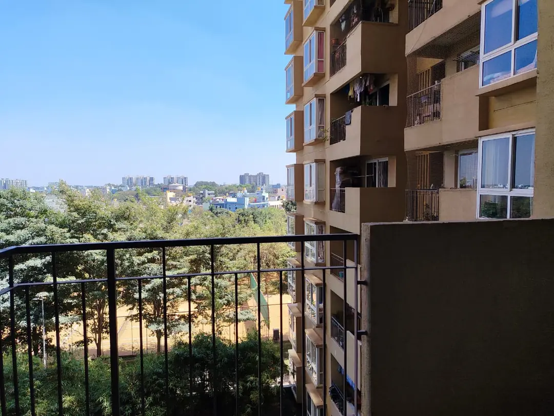 WhatsApp Image 2026-02-12 at 13.07.01 (1).jpeg